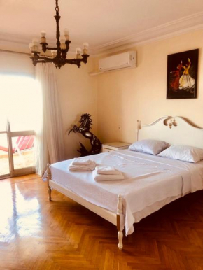 Balcony Penthouse - Spacious, Best Location